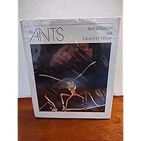 The Ants The Ants Hardcover