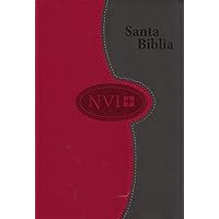 Biblia NVI de letra grande – A dos tonos: Gris/Color ladrillo (Spanish Edition)