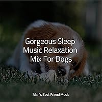 Gorgeous Sleep Music Relaxation Mix For Dogs Gorgeous Sleep Music Relaxation Mix For Dogs MP3 Music