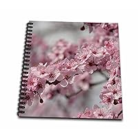 3dRose db_192734_1 Pretty Cherry Blossom Flowers-Drawing Book, 8 by 8