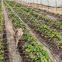 Crop Garden Bird Netting Fence, Lightweight Nylon Trellis Mesh for Deer Chicken Squirrels, Vegetable Fruits Blueberry Plant Netting, Large Pond Cover (Size : 10x4m/33x13ft)