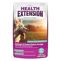 Dry Dog Food, Natural Food with Added Vitamins & Minerals, Suitable for All Puppies, Grain Free, Salmon & Sweet Potato Recipe with Whole Vegetable & Berries (23.5 Pound)