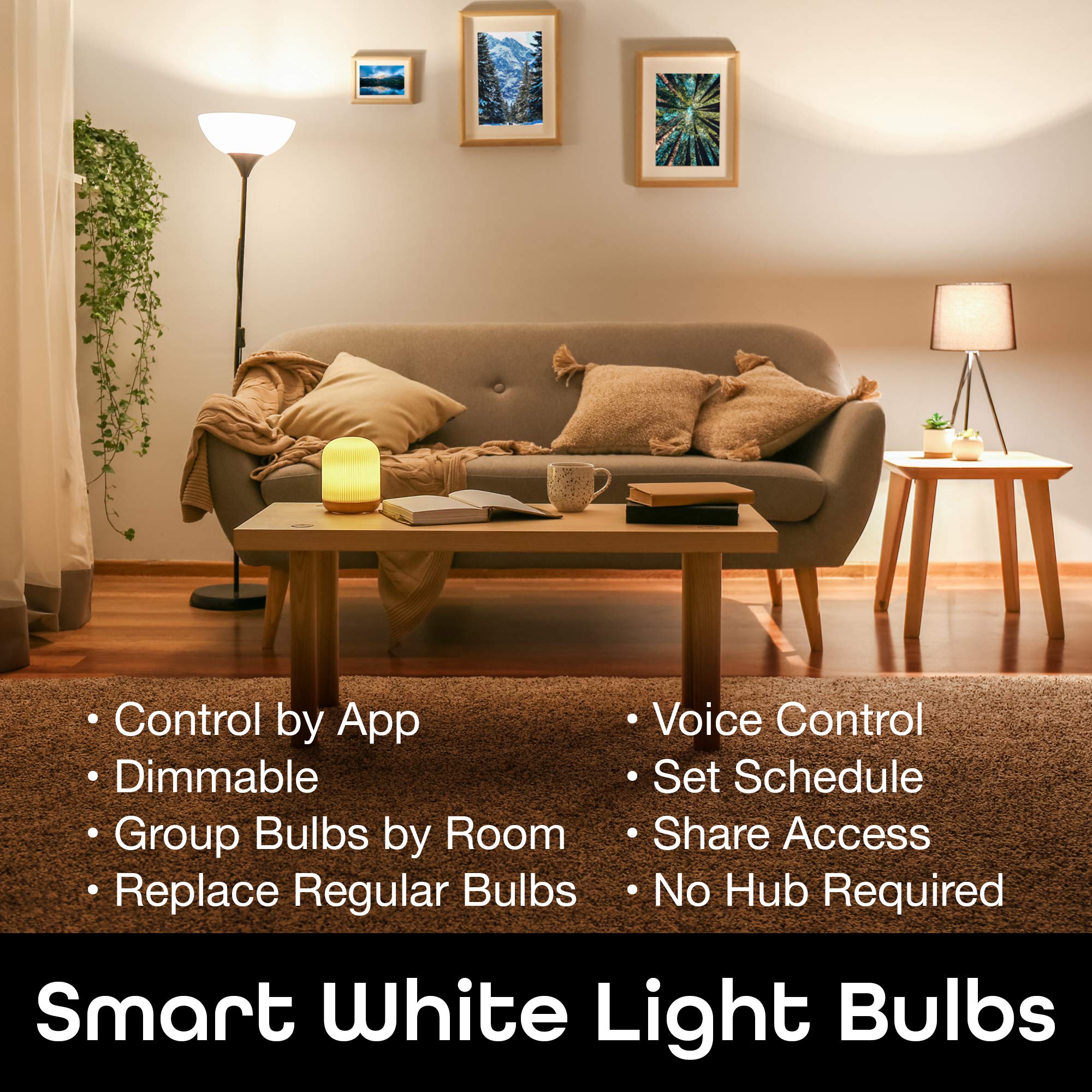 Geeni LUX 800 Dimmable A19 White LED Smart Home Light Bulbs, Works with Alexa and Google Home, No Hub Required, Requires 2.4GHz WiFi (3 Pack)