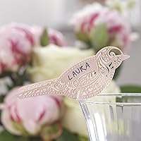Ginger Ray Vintage Lace Bird Place Card for Glass (10 Pack), Pink