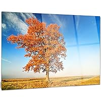 Colorful Lonely Fall Tree Landscape Photo Metal Wall Art, 20x12, Red