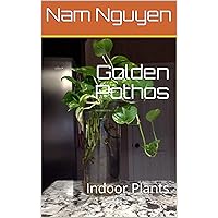 Golden Pothos: Indoor Plants