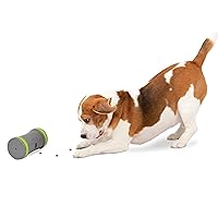 PetSafe Kibble Chase - Electronic & Interactive Dog Treat Dispensing Toy, Encourages Play Time, Adjustable Opening, 10 Minutes Play and Rest, Holds 1/2 Cup of Treats, Durable Plastic