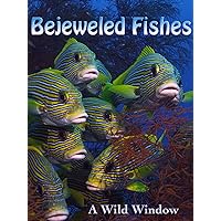 Bejeweled Fishes