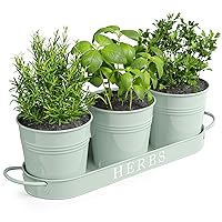 Barnyard Designs Indoor Herb Garden Planter Set with Tray, Metal Windowsill Plant Pots with Drainage for Outdoor or Indoor Plants, Rail planters Mint, Set/3