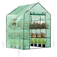 57x57x77-Inch Mini Walk in Green House with Window and Anchor, Plant Garden Hot House 2 Tiers 8 Shelves,4.7 x 4.7 x 6.4 FT