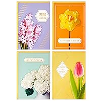 Hallmark Easter Cards Assortment, Flower Photos for Spring or Anyday (24 Cards with Envelopes)
