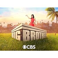 Big Brother, Season 23