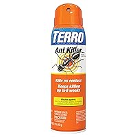 TERRO T401-6 Indoor and Outdoor Ant Killer Aerosol Spray - Kills Ants, Cockroaches, Crickets, Scorpions, Spiders, and Other Insects - 16 Oz