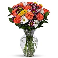 BENCHMARK BOUQUETS - Life is Good Orange (Glass Vase Included), Next-Day Delivery, Gift Mother’s Day Fresh Flowers