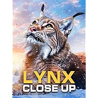 Lynx - Close Up