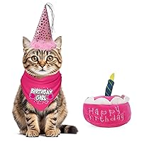 Cat Birthday Girl Party Pack with Bandana, Star Spangled Pink Party Hat with Adjustable Elastic, Tassels and Feathery Trim, and Catnip Birthday Cake Toy, Small