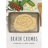 Brain Crumbs - Finding a Way Back