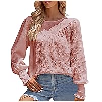 Women’s Casual Tops Crewneck Lantern Long Sleeve Tunics Casual T Shirt Tee Top Solid Color Loose Fit Workout Blouses