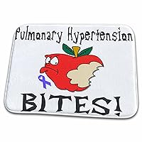 3dRose Funny Awareness Support Cause Pulmonary Hypertension Mean... - Dish Drying Mats (ddm-120592-1)