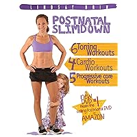 Postnatal SlimDown by Lindsay Brin & Moms Into Fitness Postnatal SlimDown by Lindsay Brin & Moms Into Fitness DVD