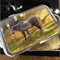 Ambient Grace Horse NordicWare Cake Pan with Lid