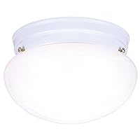 Westinghouse 6661100 Standard Ceiling Fixture, Two Light White