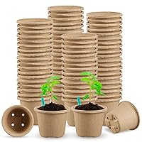 Peat Pots, 4 Inch Pack of 60, Plant Nursery Pots Seed Starter for Indoor Seedling with Drainage Holes