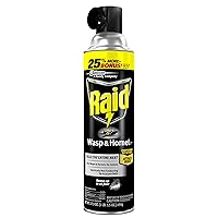 Raid Wasp and Hornet Spray- 17.5 Ounces - 3 Pack