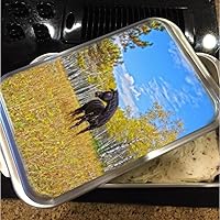 Aspen Gold in Black and White- Horse NordicWare Cake Pan with Lid