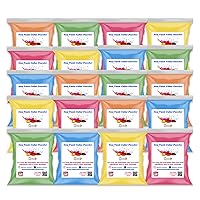 All Natural, Washable, Biodegradable, Holi Non-Toxic Color Powder 100gm Pack of 20, Perfect for Color Play