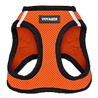 Voyager Step-in Air Cat Harness - All Weather Mesh Step in Vest Harness for Small and Medium Cats by Best Pet Supplies - Harness (Orange/Black Trim), XXXS (Chest: 9.5-10.5