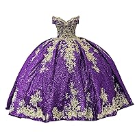 Glittery Ball Gown Quinceanera Dresses Vestido De 15 Sweet 16 Prom Party Dress Anos XV Charro Gold Embellishments Embroidered Flowers Lace Long 20W