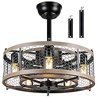 20'' Caged Ceiling Fans with Lights Remote Control, Small Farmhouse Ceiling Fans with Light, Black Rustic Bladeless Ceiling Fans for Bedroom Kitchen