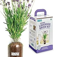 Windowsill Planter: Lavender