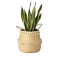 Artera Woven Seagrass Plant Basket - Wicker Belly Basket Planter Indoor with Plastic Liner and Handles, Natural Plant Pot for Fiddle Leaf Fig Tree, Snake Plant (M, Natural with Tassel Macrame)