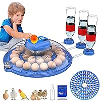 26-52 Eggs Automatic Incubator | Upgrade Automatic Water Adding |360 Degree View | incubators for hatching eggs |Without Installation Use (BLUE26C)