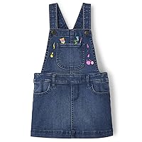 Gymboree Girls and Toddler Embroidered Sleeveless Skirtall Jumpers, Artist Art Suppies, 12-18 Months
