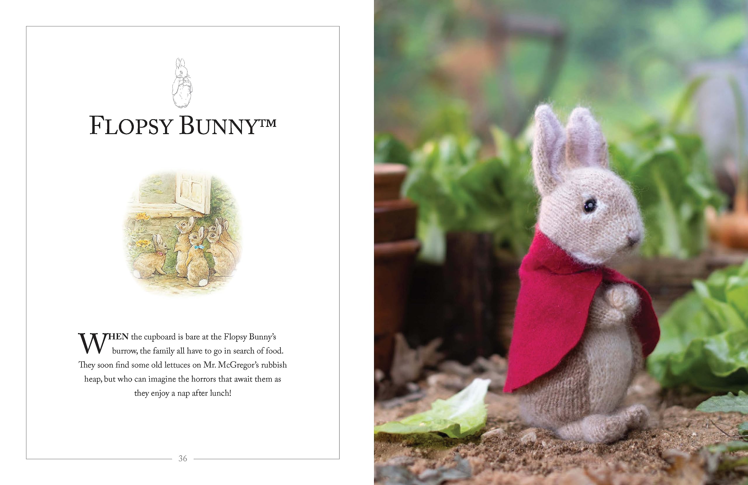 Knitting Peter Rabbit™: 12 Toy Knitting Patterns from the Tales of Beatrix Potter (World of Peter Rabbit)