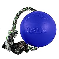 Jolly Pets Romp-n-Roll Rope and Ball Dog Toy, 6 Inches/Medium, Blue