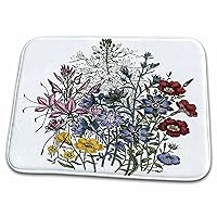 3dRose Linum, Malesherbia, Cleome, Helianthemum flowers in red,... - Dish Drying Mats (ddm-153243-1)