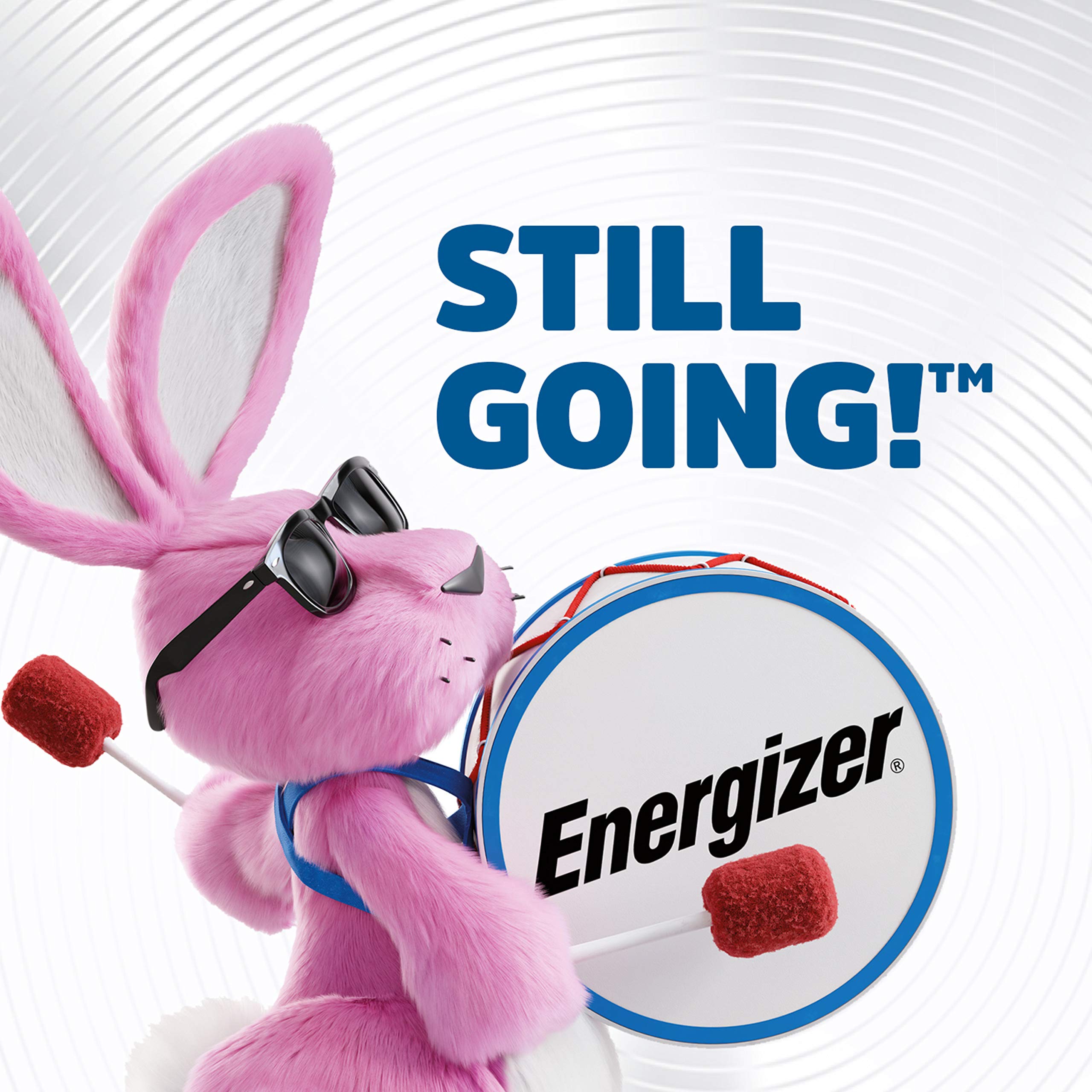 Energizer A544BPZ Zero Mercury Battery, 1 Count (Pack of 1)