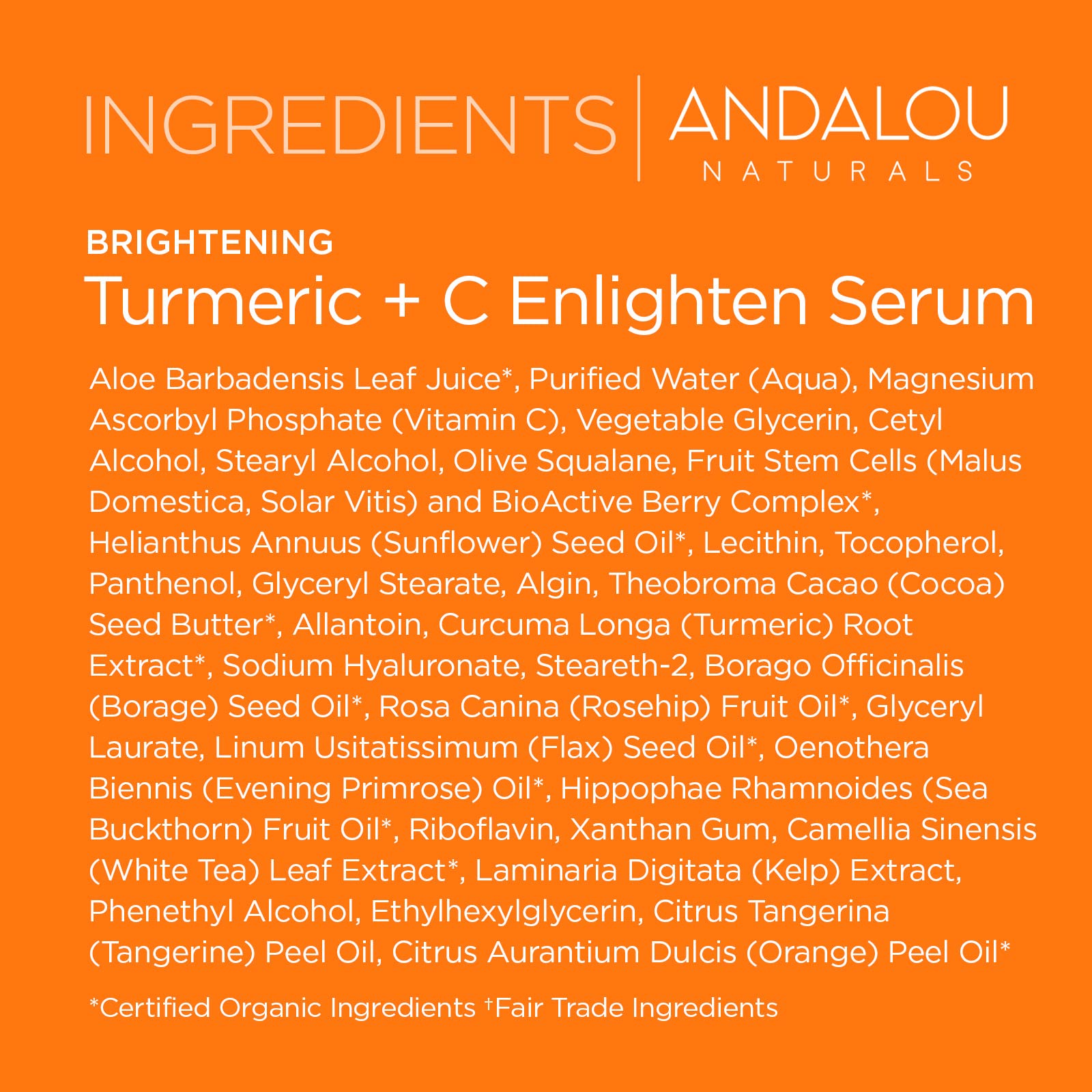 Andalou Naturals Turmeric + C Enlighten Serum, Skin Brightening Serum with Vitamin C & Turmeric, Anti Aging Skin Care, Diminish Sun Damage and Lighten Skin, 1.1 Fl Oz