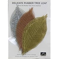 Metallic Assortment Rubber Tree Leaves - Pack of 15 Skeleton Leaves