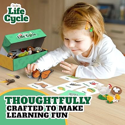 GLINGLONG Life Cycle Kit Toy Montessori - Realistic Figurine Toys, Kids Figure Animal Match Set with Frog, Ladybug, & More - Includes 24-Piece Animals, Educational & Fun Matching Game for Children 3+