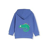 Organic Cotton Baby Infant Toddler Zip-up Hoodie Applique - Boy Girl (0-4 Years)