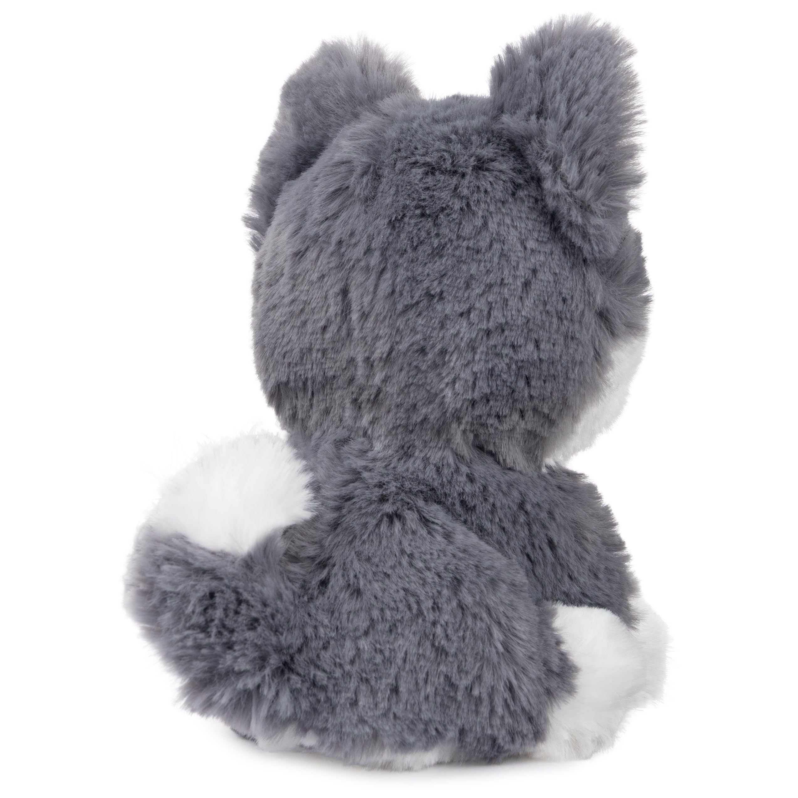 GUND Boo, The World's Cutest Dog, Boo & Friends Collection