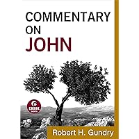 Commentary on John (Commentary on the New Testament Book #4)