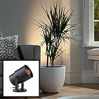Pro Track Cord-n-Plug Small Uplighting Indoor Accent Spot-Light LED Foot Switch Directional Dimmable Floor Plant Home Decorative Art Desk Picture Table Living Room Interior Black Finish 8