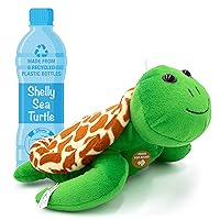Shelly The Sea Turtle - 12