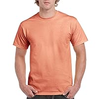 Gildan Men's Classic Fit Hammer Tee Shirt, Terracotta, Medium